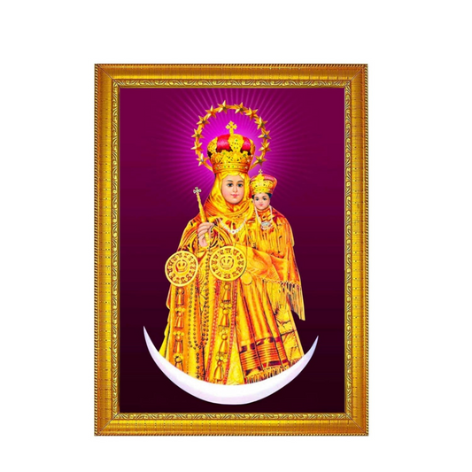 Annai Velankanni Matha 8x12 Inch Photo Frame