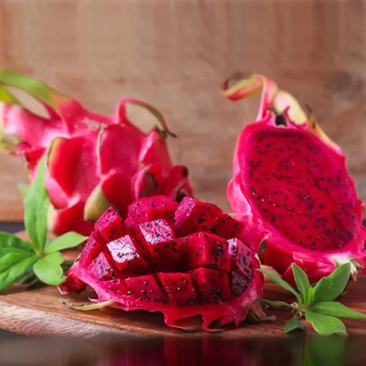 Dragon Fruit Original Red Sweet Variety Rooted Plant
