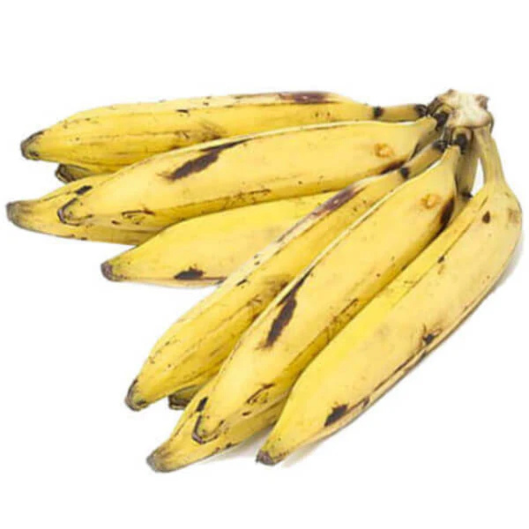 Ethan Banana Live Plant