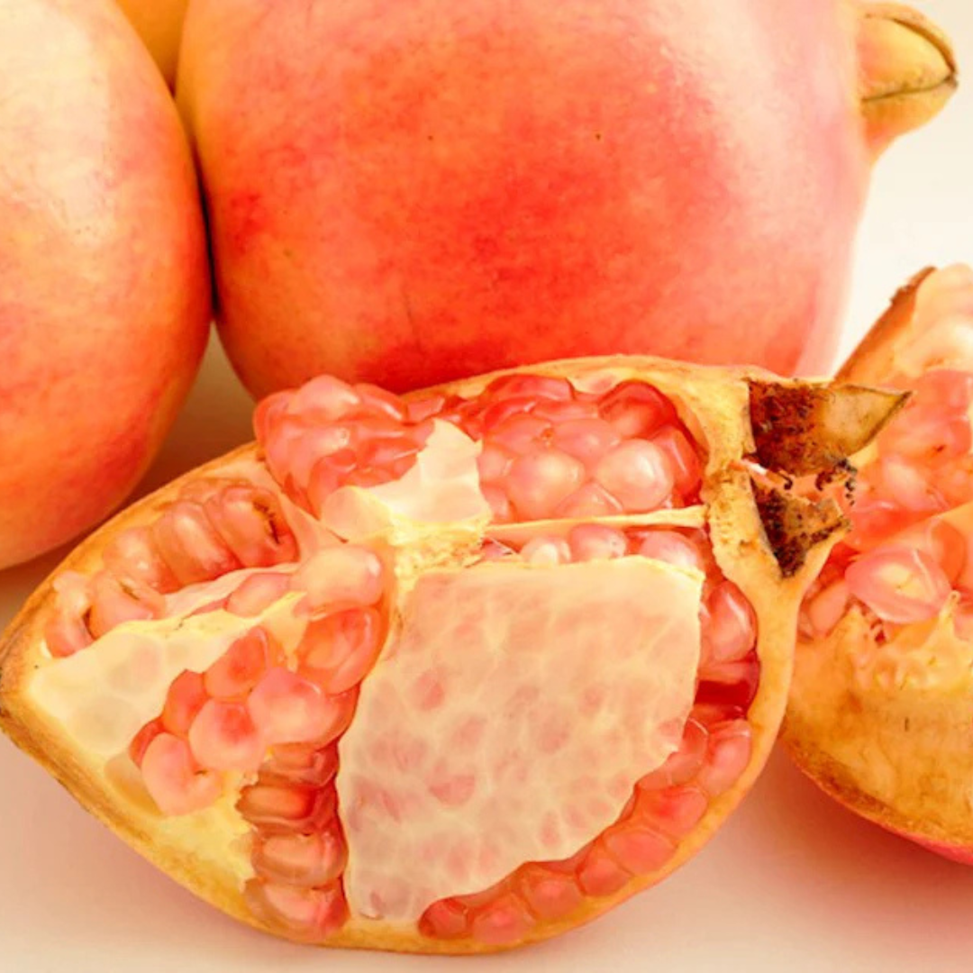 Pomegranate (Ganesh) Layered Fruit Plant