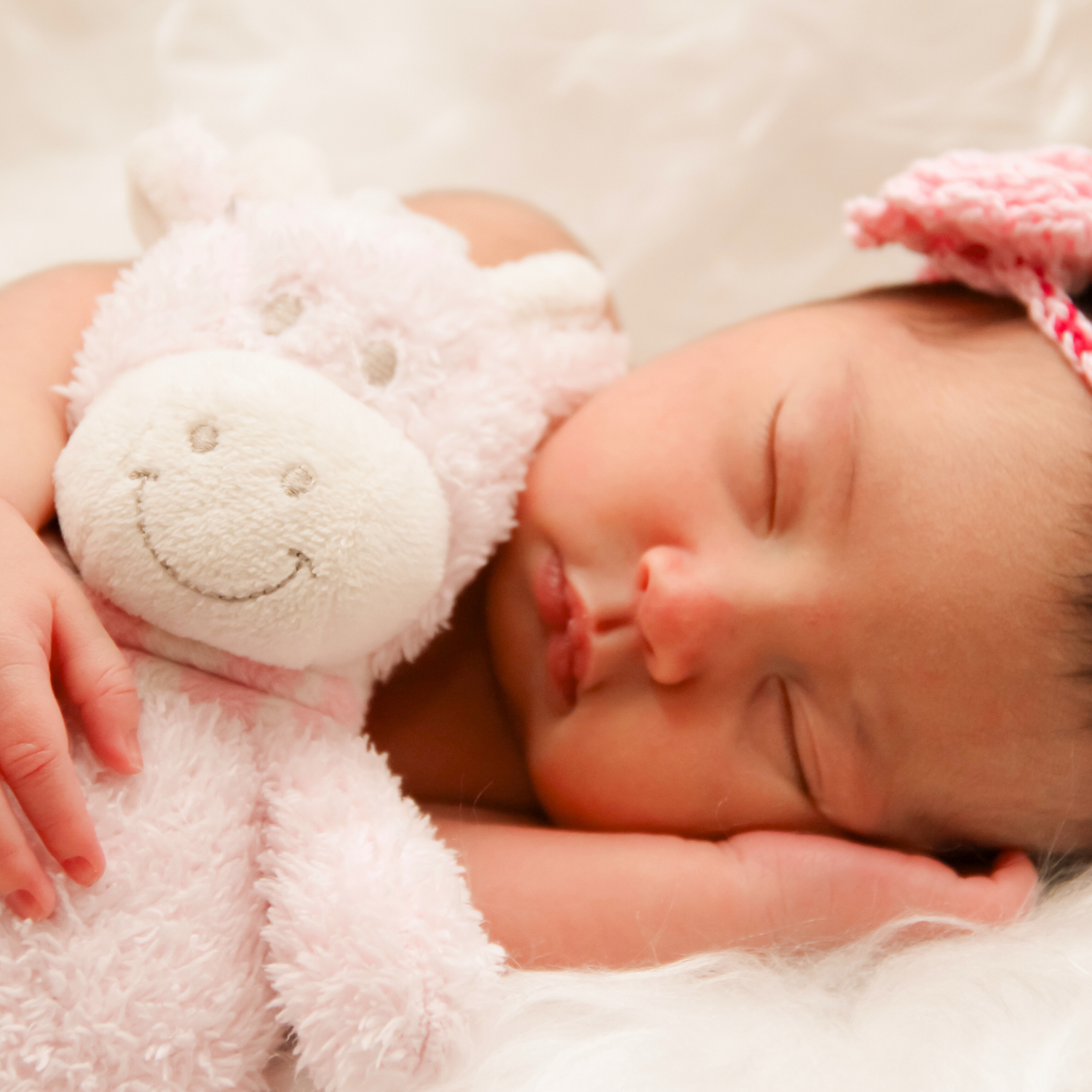 Soft Toys