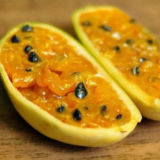 Banana Passion Fruit (Passiflora Tripartita Mollissima) Live Plant