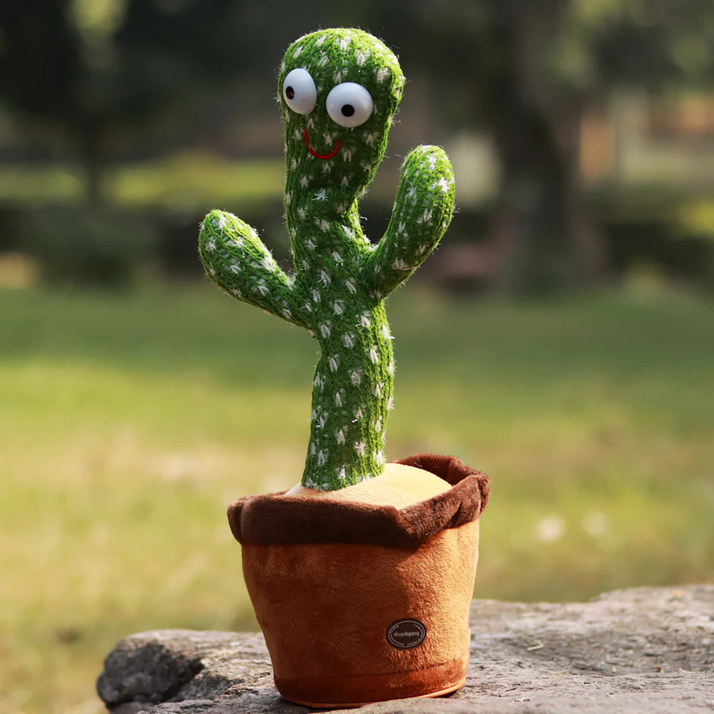 Dancing Cactus Toy – Talking, Singing & Glowing Plush for Kids