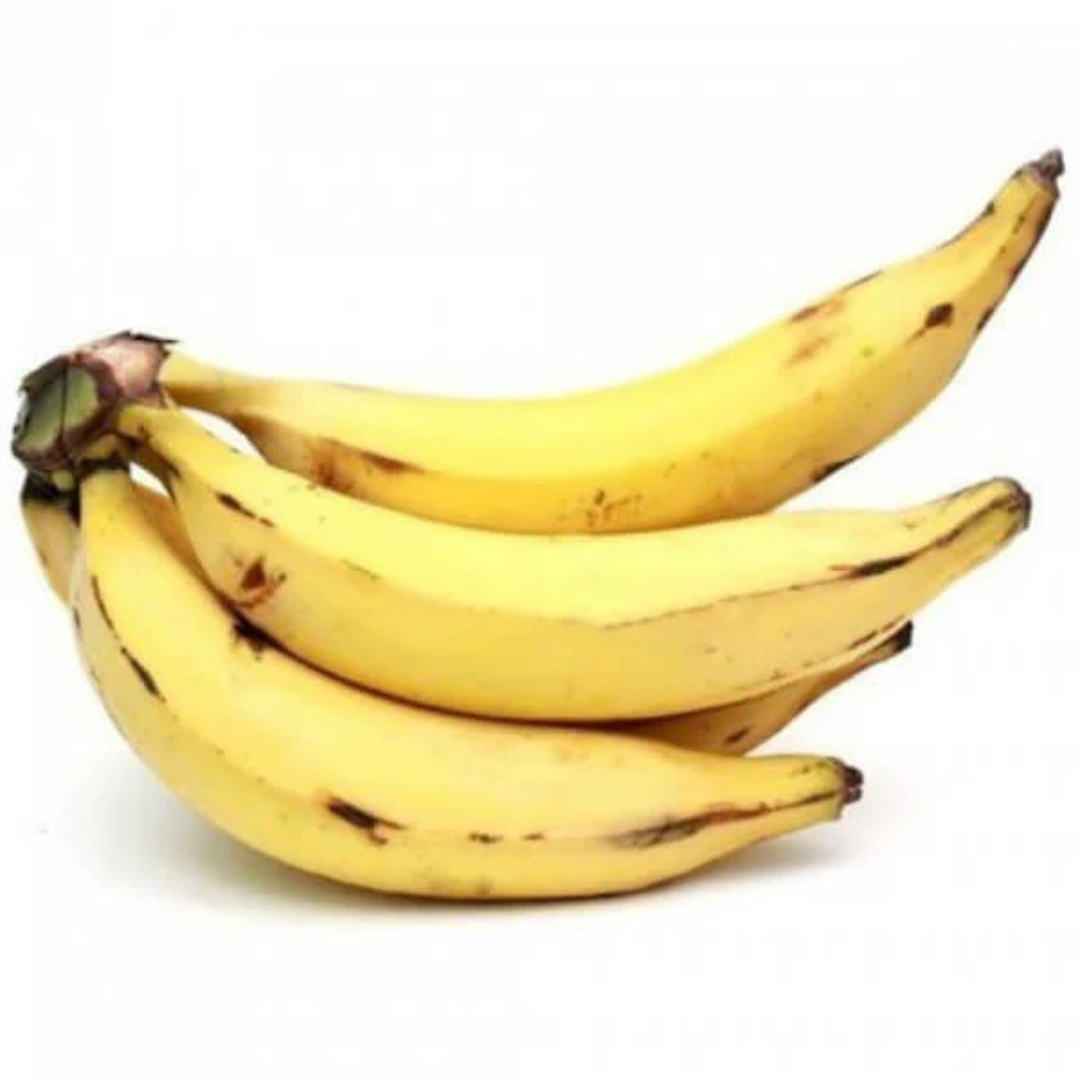 Ethan Banana Live Plant