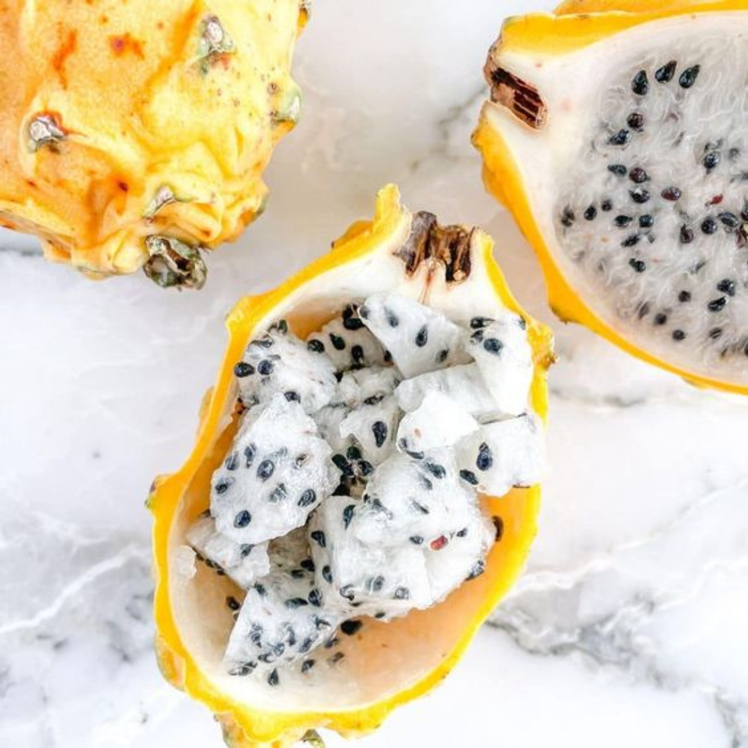 Israel Yellow Dragon Fruit Live Plant