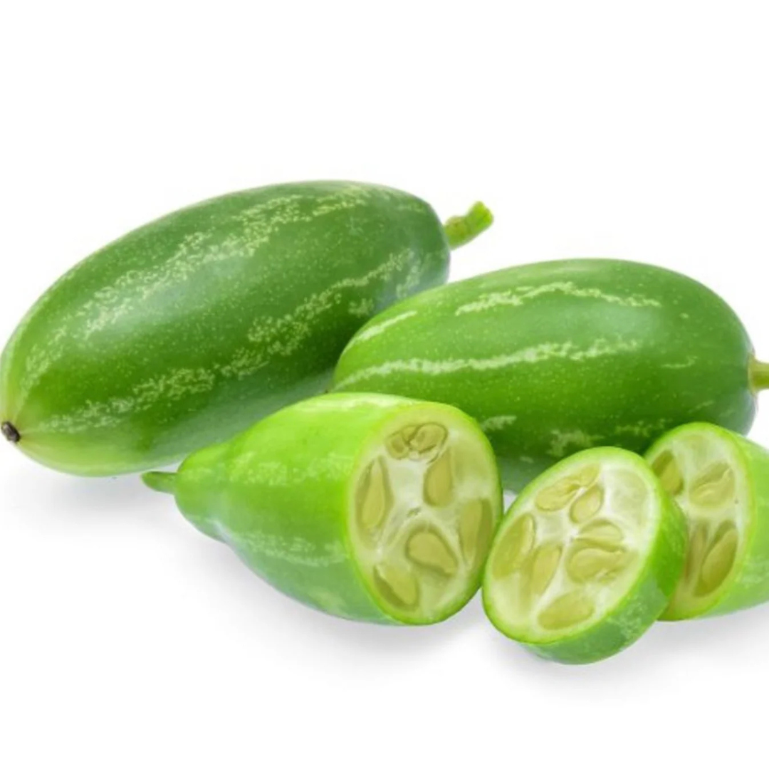 Ivy Gourd (Coccinia grandis) Medicinal Live Plant