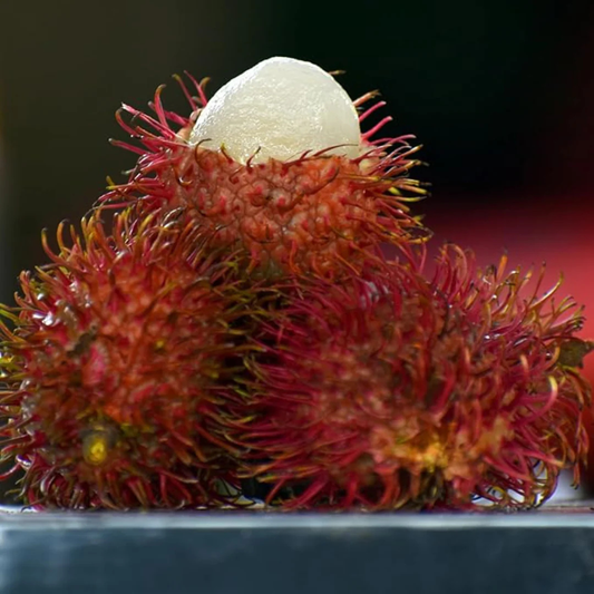Rambutan Ceaser Rare Exotic Fruit Live Plant