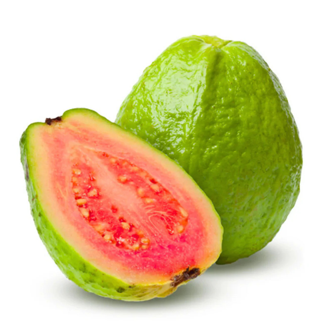 Red Flesh Guava (Psidium guajava) Fruit Live Plant