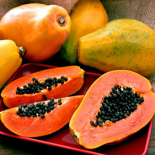 Red Lady Papaya Dwarf Fruit Live Plant