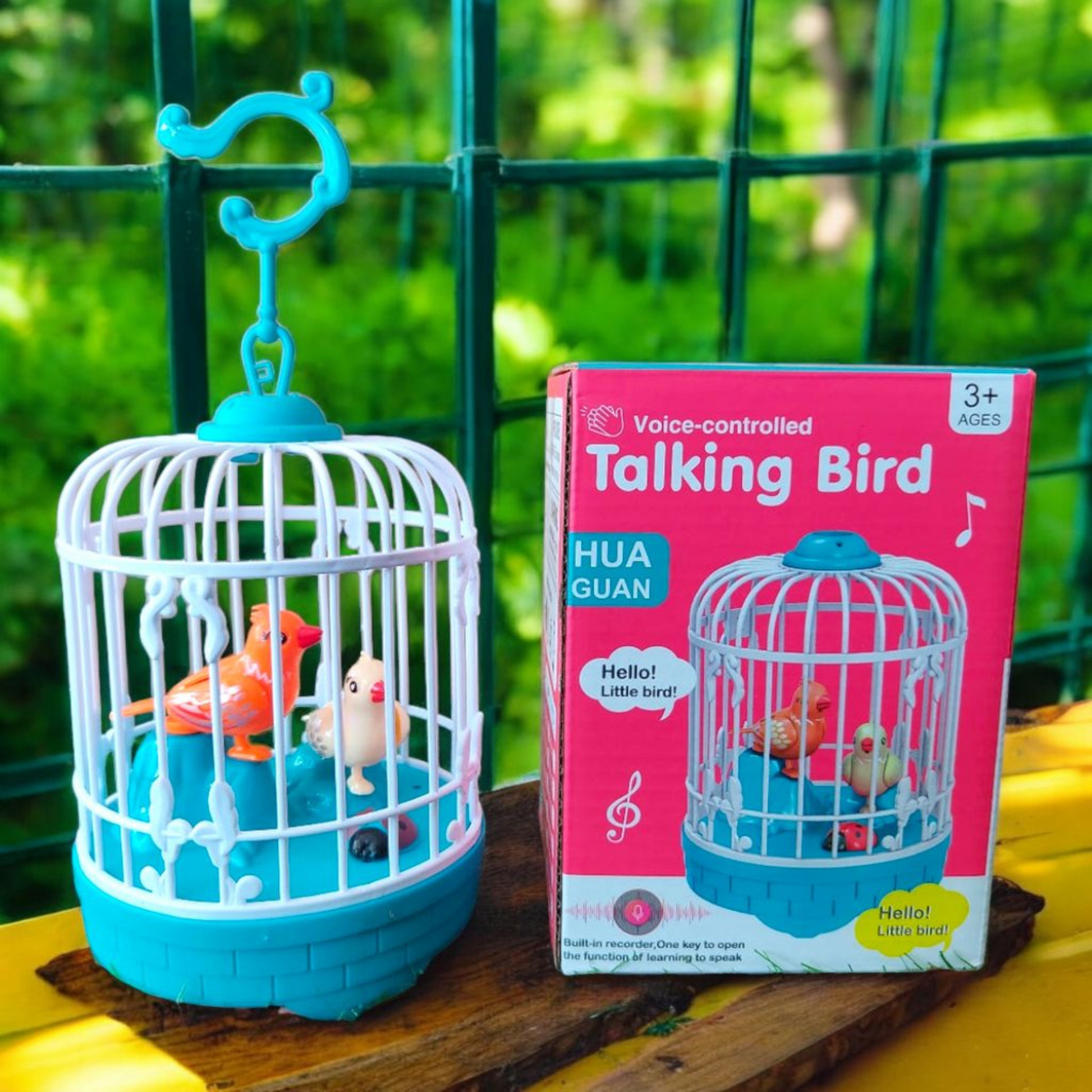 Talking Bird Toy – Voice Repeat Singing Fun for Kids DreaMee