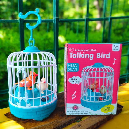 Talking Bird Toy - Voice Repeat & Singing Fun