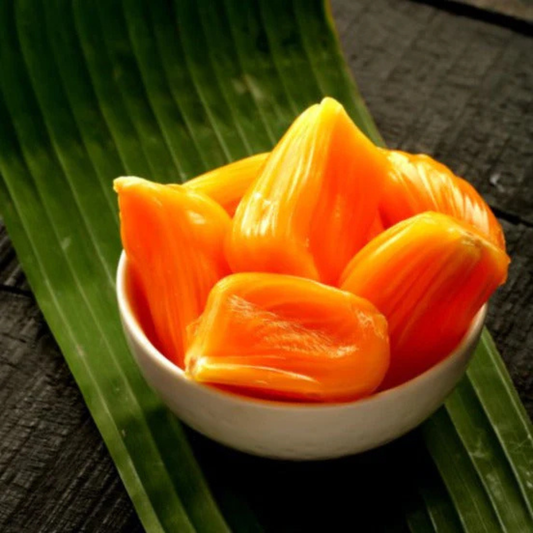Vietnam Super Early Grafted Live Jack Fruit Plant - Red