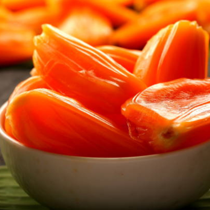 Vietnam Super Early Grafted Live Jack Fruit Plant - Red